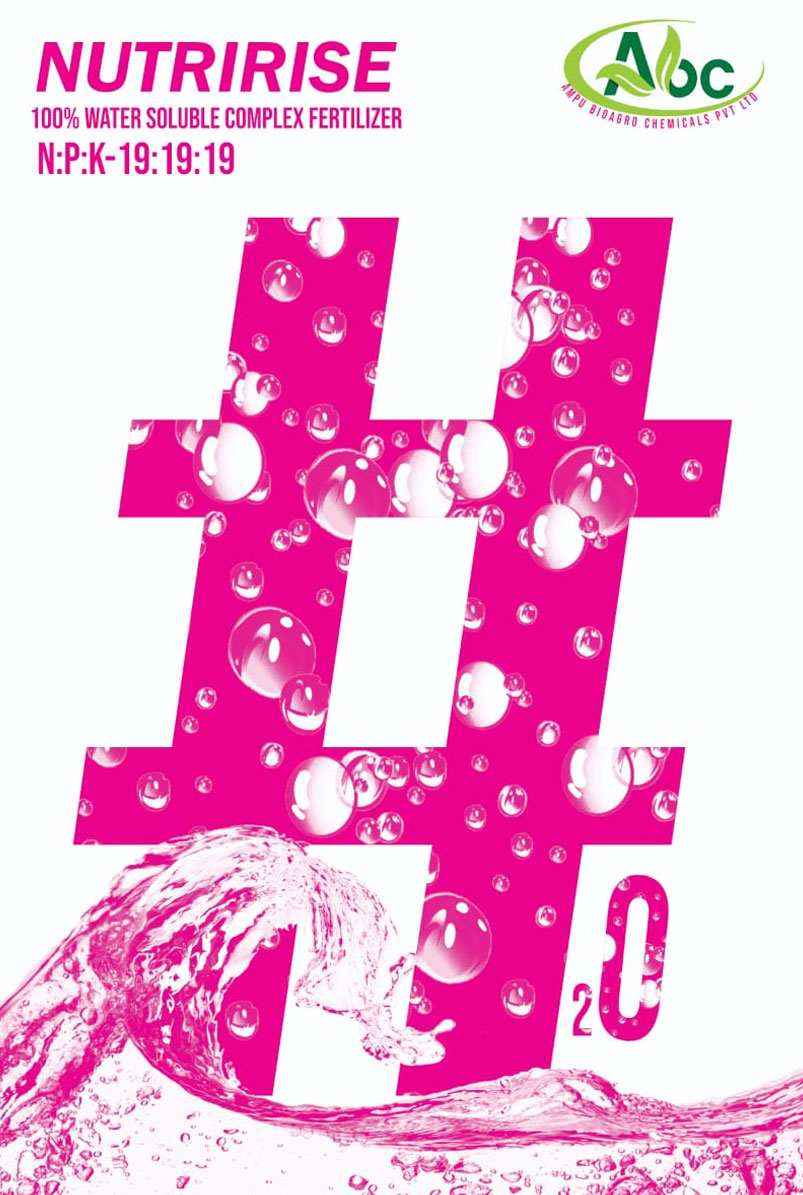 19