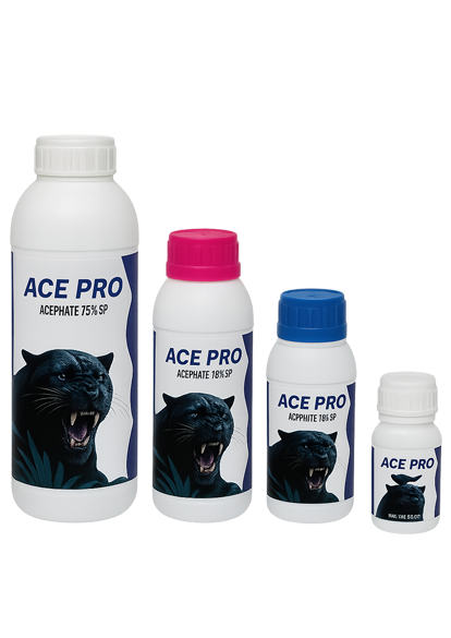 ace