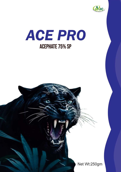ace