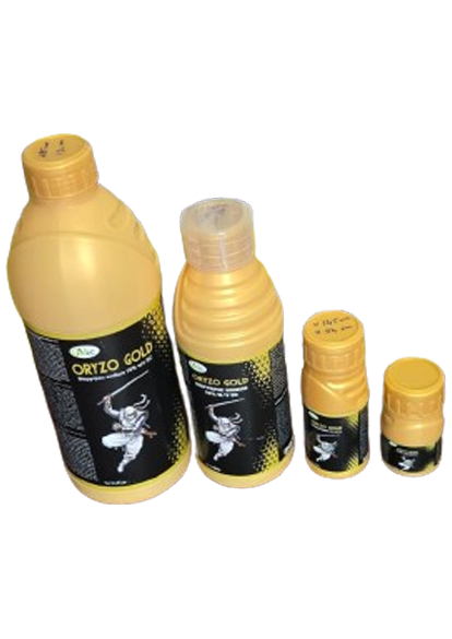 oryzo1