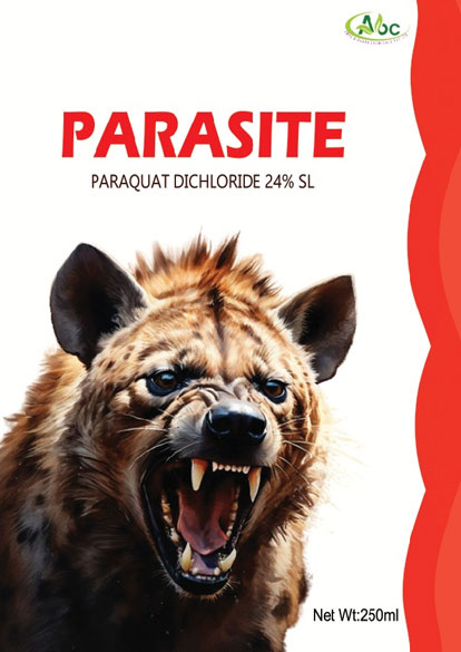 paras